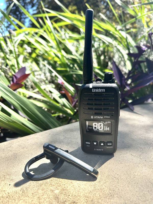 BT35 collage image 1