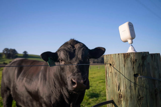 EFTM Review - NEW Uniden Security Camera 4G Range News