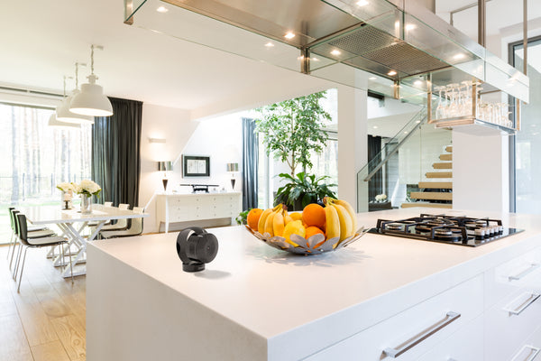 App Cam X24B collage image 3