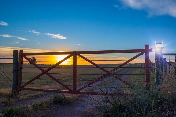  SOLO X2K 4G  Pro Kit   collage image 4