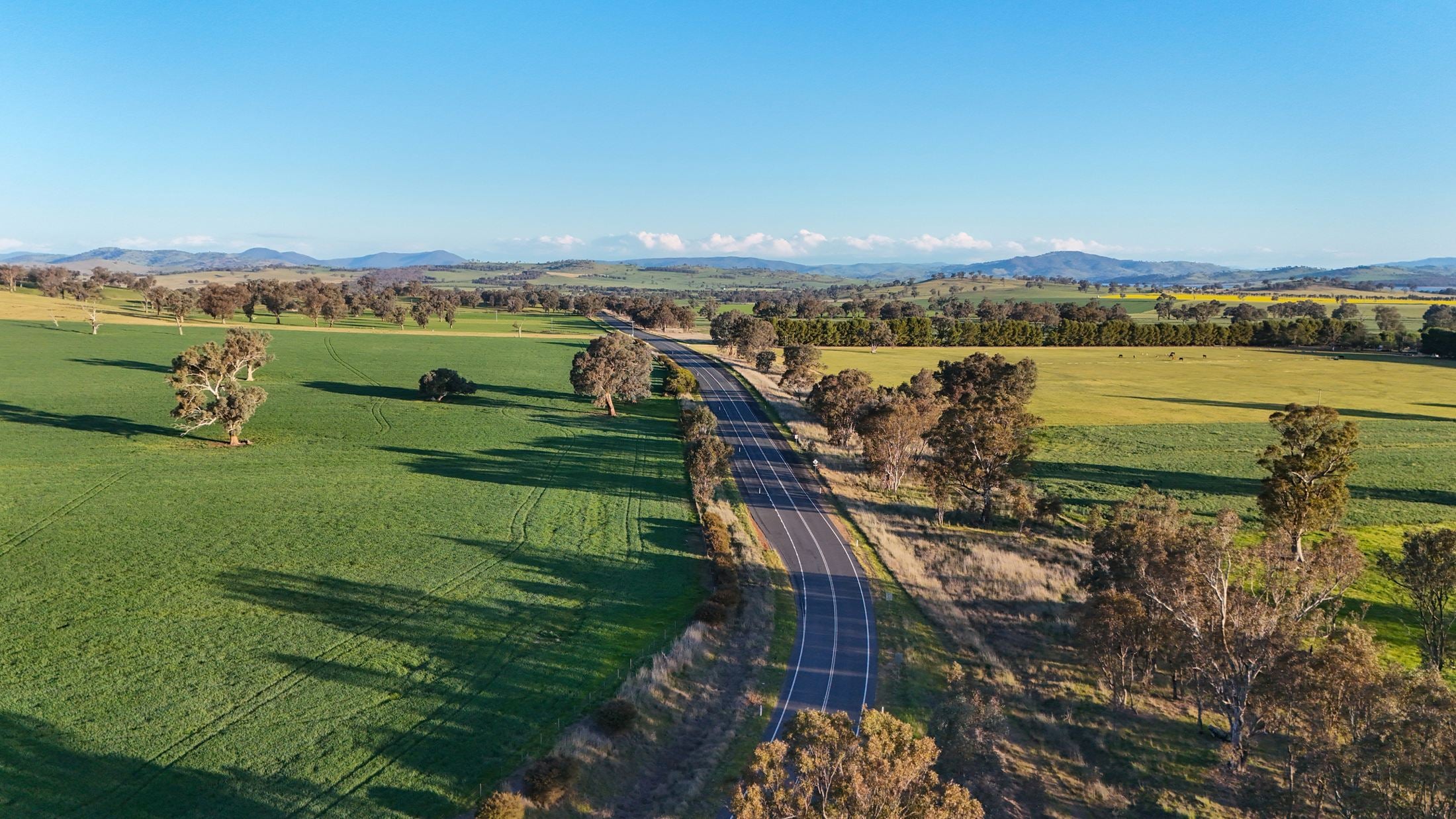 Aerial view of a country road between green paddocks